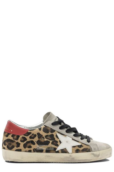 Golden Goose Deluxe Brand Super Star Leopard Pattern Sneakers