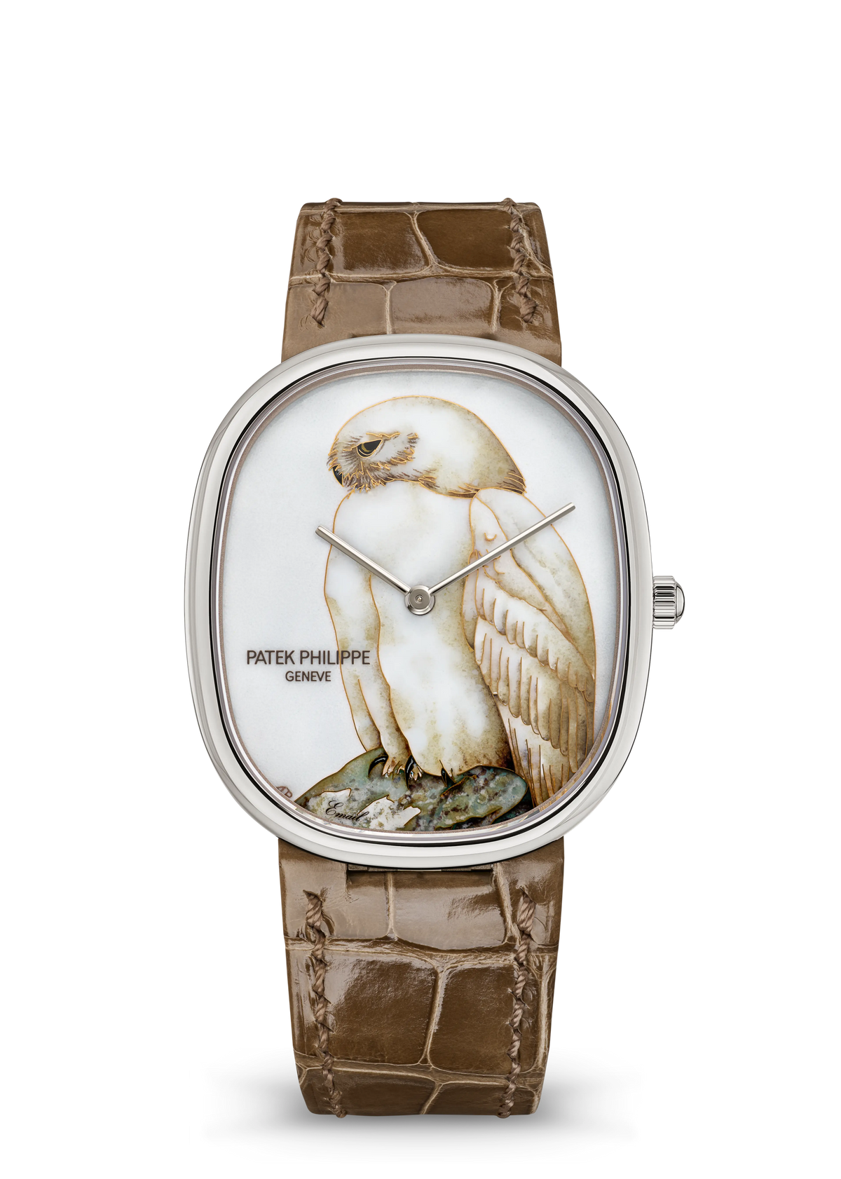 Patek Philippe Rare Handcrafts 5738/50G-048 — White Owl