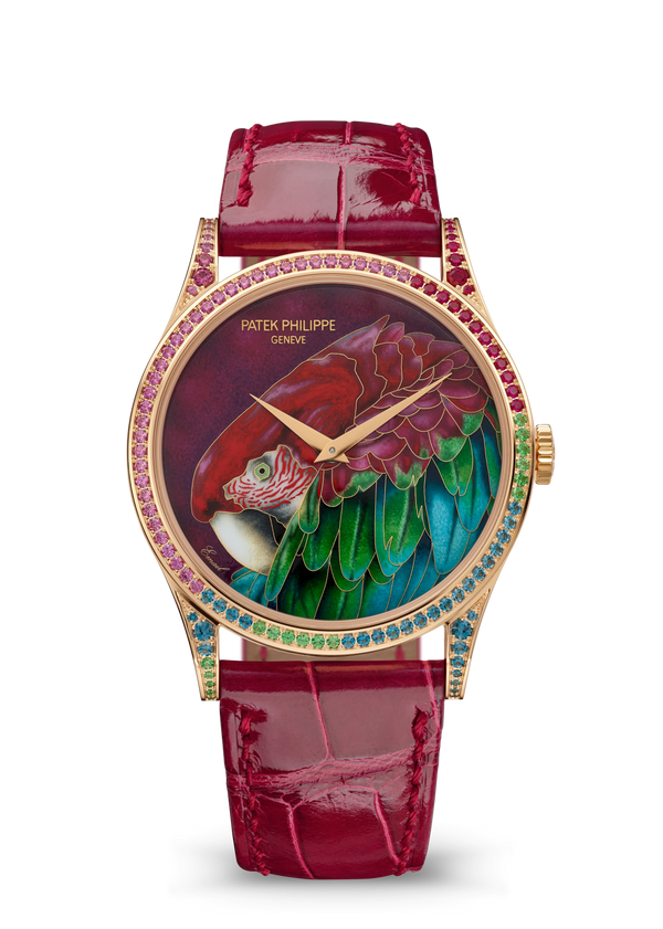 Patek Philippe Rare Handcrafts 5077/211R-001 — Green-Winged Macaw