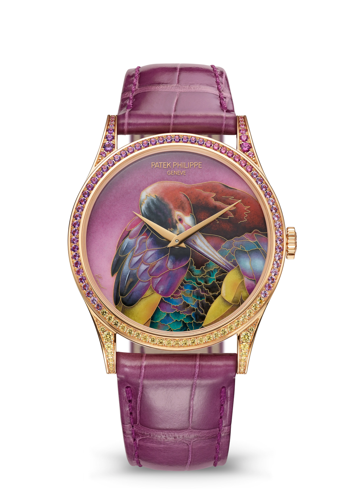 Patek Philippe Rare Handcrafts 5077/213R-001 — White-Faced Ibis